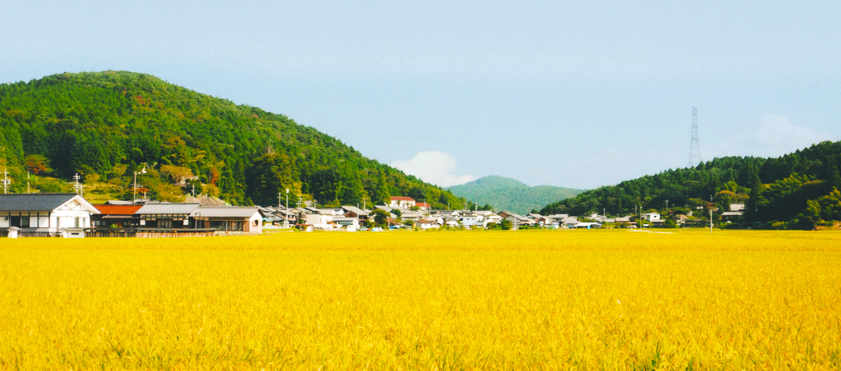 大湫宿 ビューティースポット 実りの秋 大湫町コミュニティ推進協議会