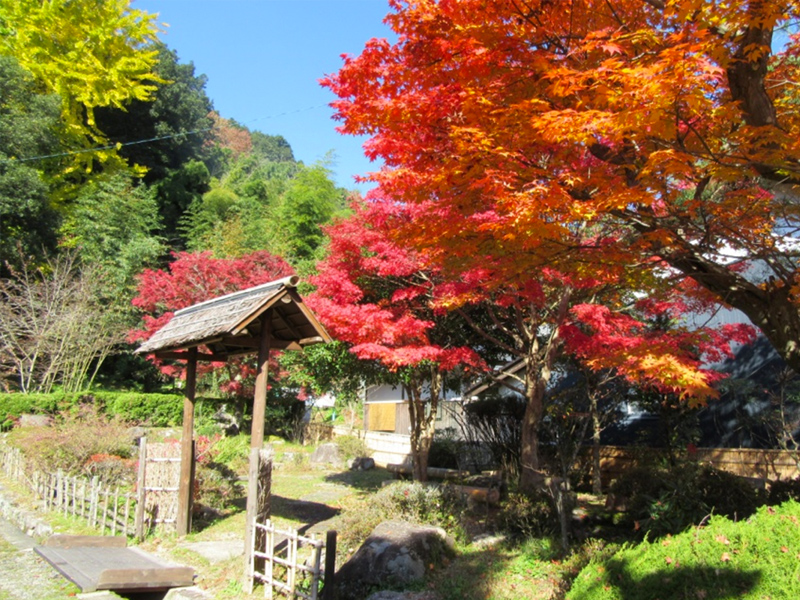 大湫宿 ビューティースポット 実りの秋 大湫町コミュニティ推進協議会