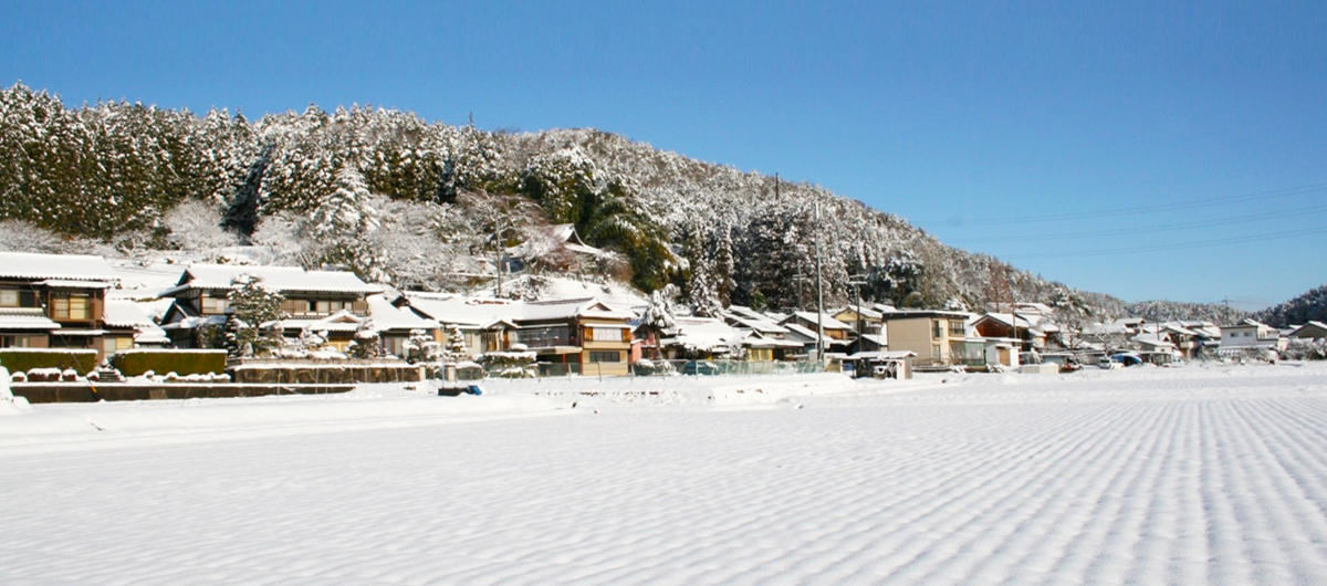 大湫宿 ビューティースポット 初夏の裏田 大湫町コミュニティ推進協議会