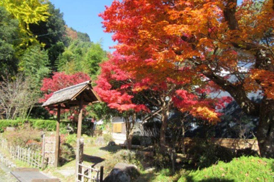 大湫宿 史跡・文化財探訪 大湫町コミュニティ推進協議会