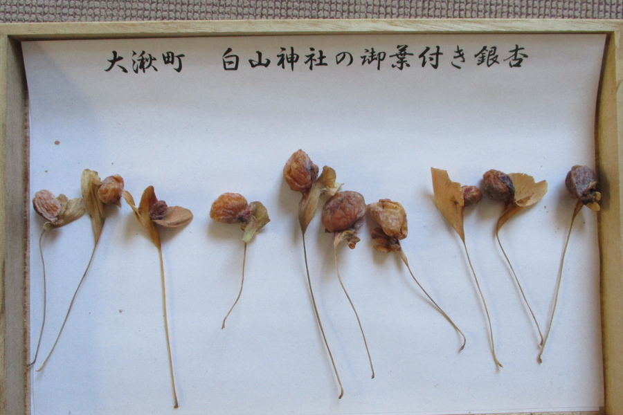 大湫宿 史跡・文化財探訪 大湫町コミュニティ推進協議会