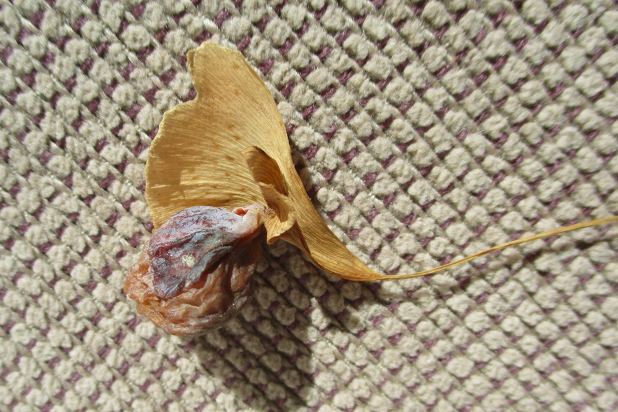 大湫宿 史跡・文化財探訪 大湫町コミュニティ推進協議会