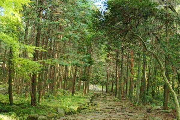 大湫宿 タイムスリップスポット 琵琶峠 大湫町コミュニティ推進協議会