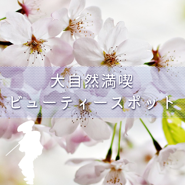 中山道大湫宿 ビューティースポット 大湫町コミュニティ推進協議会