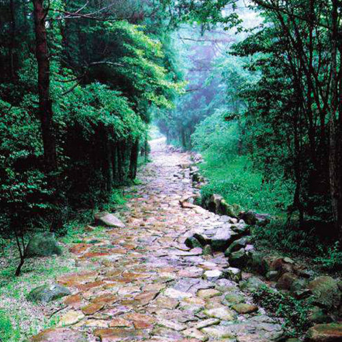 自然探訪 大湫町コミュニティ推進協議会